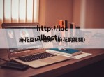 麻花豆MV视频（麻花的视频）